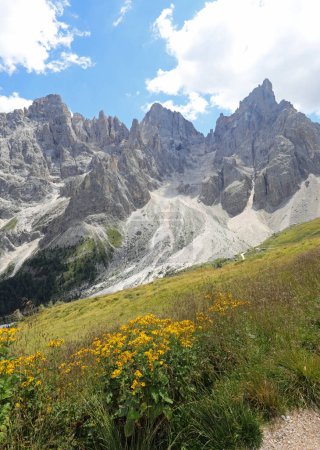 Téléchargez les photos : Panorama des Alpes italiennes dans le groupe de montagne Dolomites en Italie près de Paneveggio Town - en image libre de droit