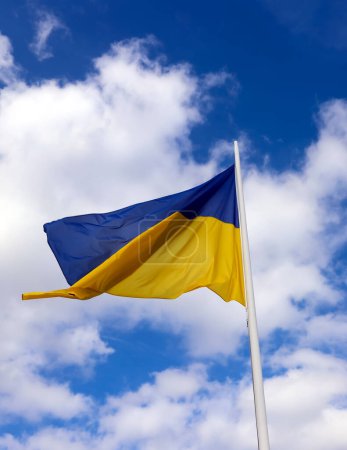 Photo for Yellow and blue flag of Ukraine and sky with white clouds in background - Royalty Free Image