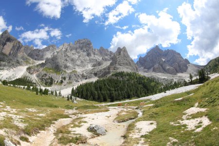 Téléchargez les photos : Splendide panorama alpin avec le ruisseau photographié avec Fisheye sans personne - en image libre de droit