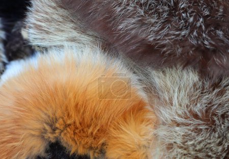 Foto de Fondo de restos de estolas de piel animal para la venta en el peletero de lujo - Imagen libre de derechos