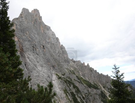 Foto de Montaña rocosa del grupo PALE DI SAN MARTINO en los Alpes europeos en el norte de Italia en verano - Imagen libre de derechos