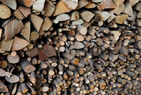 Téléchargez les photos : De nombreuses grumes coupées du hangar à bois utilisées comme chauffage ou dans le four à bois pour cuisiner des plats - en image libre de droit
