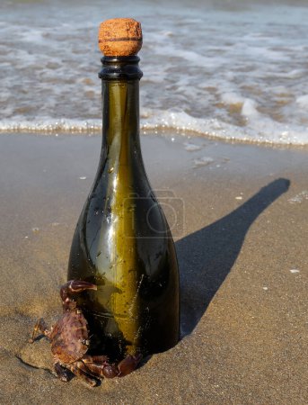 Photo for Beached bottle with a secret message inside or a pirate treasure map and a crab - Royalty Free Image