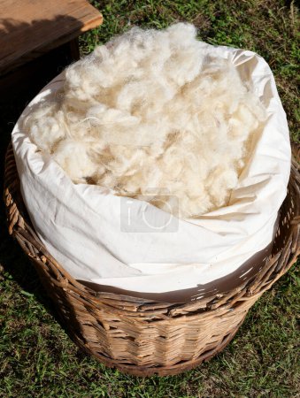 Foto de Canasta de mimbre con una pila de lana blanca cortada de las ovejas para ser tratada y hilada - Imagen libre de derechos