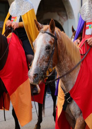 Photo for Horse with a knight with medieval clothes during the historical reenactment of the village - Royalty Free Image