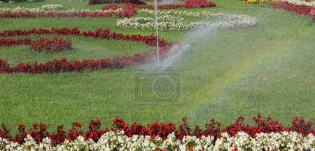 Téléchargez les photos : Système d'irrigation automatique du jardin de fleurs avec des parterres bien entretenus avec des fleurs colorées - en image libre de droit
