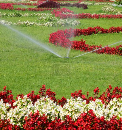 Téléchargez les photos : Système d'irrigation automatique du jardin de fleurs avec des parterres bien entretenus avec des fleurs colorées - en image libre de droit
