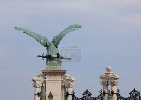 Photo for Budapest, B, Hungary - August 18, 2023: Big Eagle on The Hungarian Castle - Royalty Free Image
