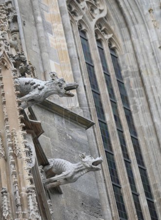 Photo for Vienna, WIEN, Austria - August 23, 2023: gargoyle in the St. Stephens Cathedral called Stephansdom  in square Stephansplatz - Royalty Free Image