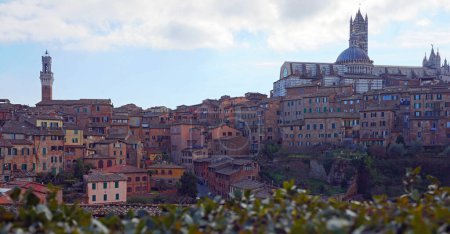 Photo for City of Siena with the cathedral and the very high DEL MANGIA tower in Italy - Royalty Free Image
