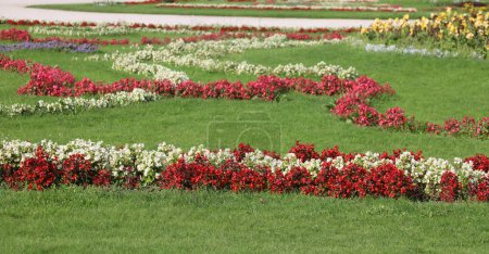 Photo for Flower beds of a very well-kept garden in summer with green grass without people - Royalty Free Image