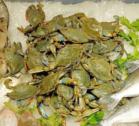 Téléchargez les photos : Beaucoup de crabes bleus très frais sur le comptoir plein de glace à vendre dans les poissonniers - en image libre de droit