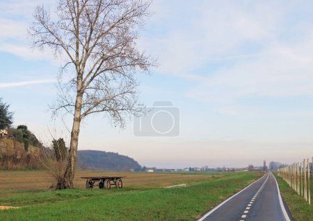 Téléchargez les photos : Arbre et une longue piste cyclable nouvellement asphaltée au milieu de la plaine sans personnes - en image libre de droit