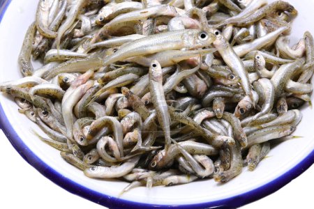 plato con muchos peces capturados llamado arena olfateada de la familia Atherinidae son muy apreciados en la cocina italiana y mediterránea
