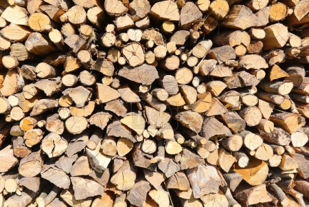 Téléchargez les photos : Beaucoup de grumes séchées de bois dans le hangar à bois prêt à être utilisé pour chauffer la maison - en image libre de droit