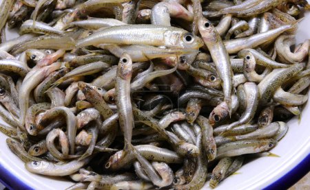 Téléchargez les photos : Plat avec de nombreux poissons pêchés appelé éperlan de sable de la famille des Atherinidae sont très appréciés dans la cuisine italienne et méditerranéenne - en image libre de droit