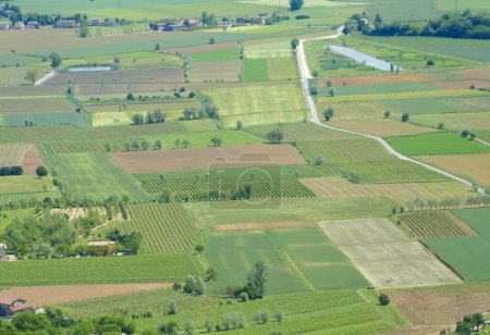 vista aérea de los campos cultivados en la llanura con los campos divididos en rectángulos y otras formas geométricas