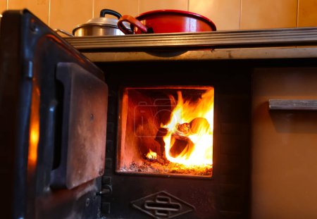 Foto de Leña ardiendo dentro de la antigua estufa para calentar la casa o los platos y ollas en el fuego - Imagen libre de derechos