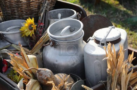Several old aluminum milk churns with farm produce in an antique country cart