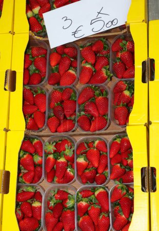 Photo for Plastic baskets full of ripe red strawberries for sale at the farmers market with price - Royalty Free Image