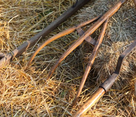 Vieux outils agricoles utilisés par les agriculteurs pour déplacer la paille et le foin dans la grange