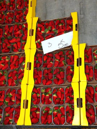 Photo for Plastic baskets full of red strawberries for sale at the farmers market in spring with price tag - Royalty Free Image