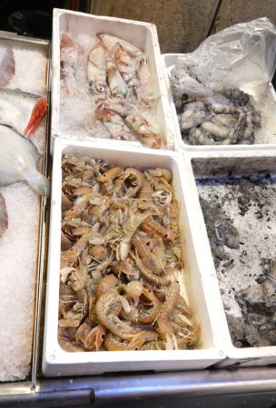 many freshly caught shellfish of Squilla Mantis breed and other fish for sale in the fish market of the fish market