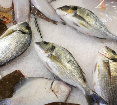 pescado besugo recién capturado en el hielo del mostrador para la venta en la tienda de pescado en el mercado de pescado