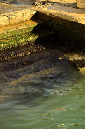 Pasos con algas verdes y el aumento del mar en Venecia Italia