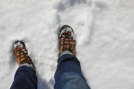 legs and boots of hiker during trip on fresh snow in the mountains in winter
