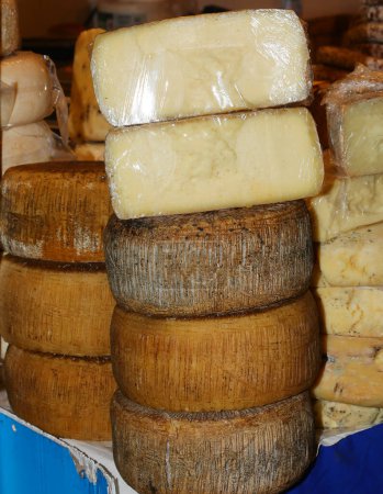 aged pecorino cheese for sale in the dairy stall in a local market
