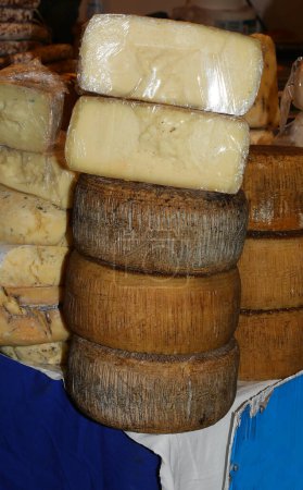 aged pecorino cheese for sale in the dairy stall in a local market