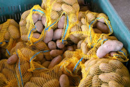 Several sacks of organic naturally grown potatoes without chemical fertilizers for sale at  market.