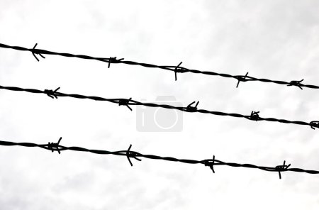 Three strands of barbed wire on the impassable border of the protected area in black and white tones