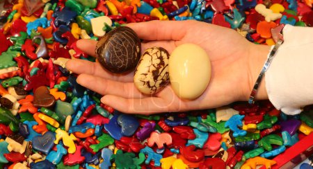 three seeds of the TAGUA plant also called Ivory. Vegetable ivory of South American origin in different stages of processing
