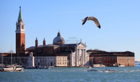 Möwenvogel mit ausgebreiteten Flügeln im Flug und die Basilika San Giorgio von Venedig im Hintergrund
