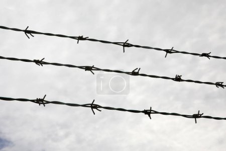 Photo for Three strands of barbed wire on the impassable border in dark dramatic tones of the protected area - Royalty Free Image