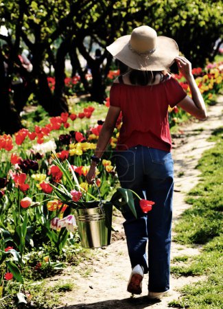 Young girl walking with straw hat and bucket full of tulips and Low key dark toned effect