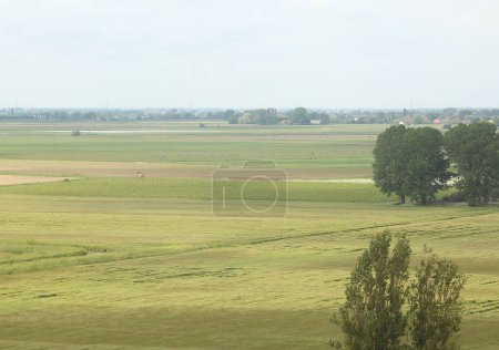 Panorama à couper le souffle des champs cultivés sans fin qui s'étirent vers l'horizon