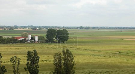 Vista panorámica de la llanura con vastos campos cultivados y sin colinas en el horizonte y una granja