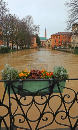 Flowerpot with flowers on the bridge and  flooded river during the flood in the city of Vicenza in Italy and the Civic Tower in the background