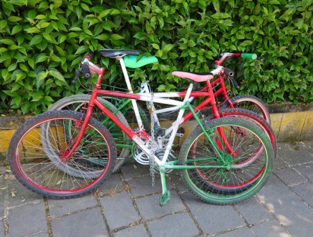 Three bicycles locked together with colors green white and red like the national flag