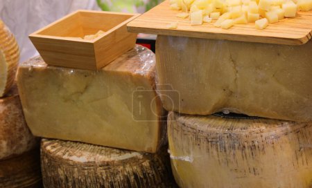 Cheese counter with many fresh or mature cheeses for sale in wheels or slices and a tasting platter
