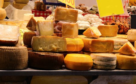 Contador de queso bien surtido en la fábrica de queso con queso pecorino o queso típico italiano envejecido