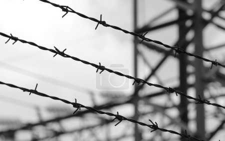 Barbed wire with sharp thorns on the impassable border  with a dramatic black and white effect
