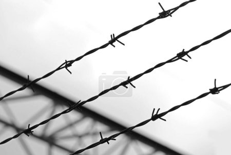 Barbed wire on the impassable border that cannot be crossed with a dramatic black and white effect