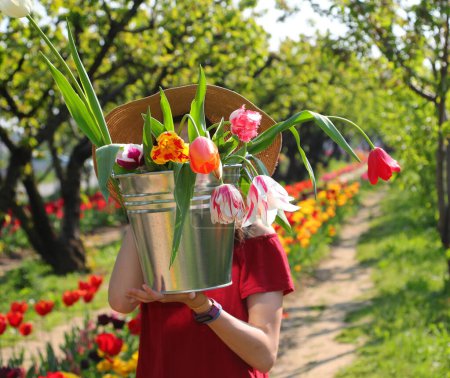 young girl wearing a straw hat covers her face with a tin bucket full of tulips  in spring