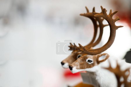 Christmas deer head and background. High quality photo