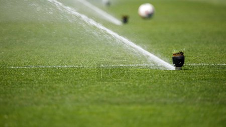 Photo for Watering the lawn water grass football field. High quality photo - Royalty Free Image