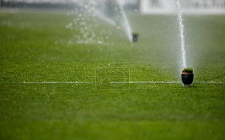 Photo for Watering the lawn water grass football field. High quality photo - Royalty Free Image
